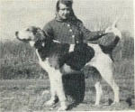 Treeing Walker History