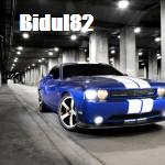 bidul82