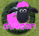 Guysan