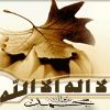 اميـــ القلوب ـــره