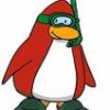 Red Penguin