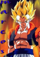 gogeta_marcos