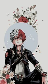 Shoto Todoroki