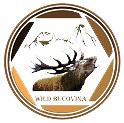Wild Bucovina