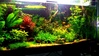 Aquarium-Aquascaping-002