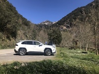 Muestra tu Toyota RAV4 1496-16