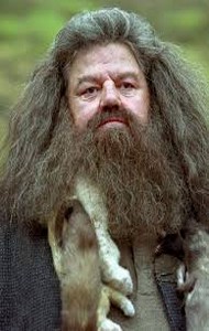 Rubeo Hagrid