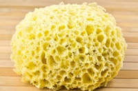 ᏉᎥsᏟᎬᏒᎪᏞ SPONGE