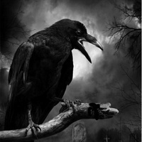 Raven667