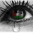 ~ PALESTINAIN EYES ~