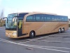 MERCEDES 303 403  TRAVEGO Traveg10