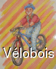 Vélobois