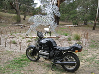 Australian and New Zealand rides and meetings 6032-16