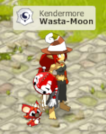 Wasta-Moon