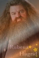 Rubeus Hagrid