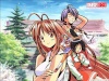 love hina