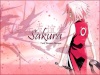 sakura