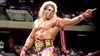 ultimatewarrior