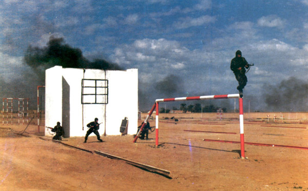 Armée terre Algérienne