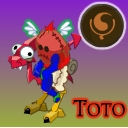 Toto