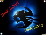 DmK ionut