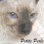 Petite Perle