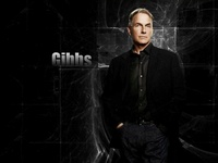 gibbs444