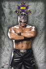 rey mysterio/luchador