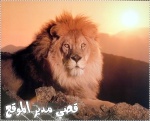 omani king