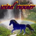 wind runner