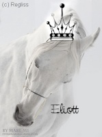 Eliott