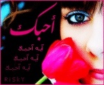 noor_albarari