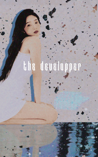 The Developer