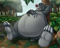 Baloo