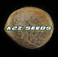 A2Z Seeds