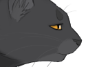 Graywing