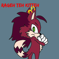 Rageh_The_Kitteh