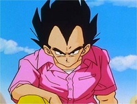 VEGETAISEPIC9100