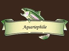 Aquariophilie