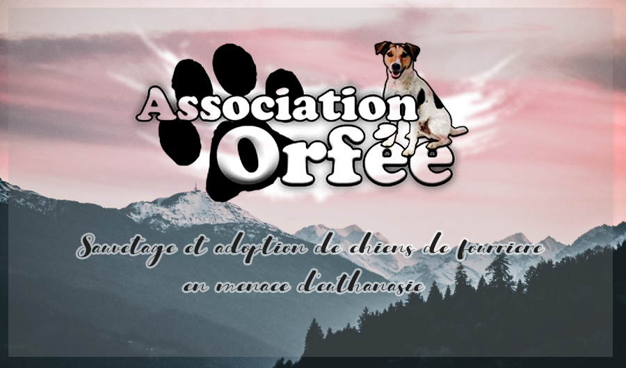 Association Orfée